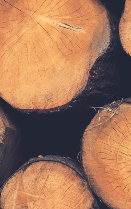 Banner timber 1